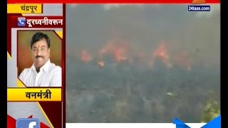 Chandrapur | Sudhir Mungantiwar On Fire In Tadoba