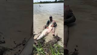 The biggest fish in the world