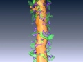 Renovo Neural 3-dimensional electron microscopy of synapses from mouse hippocampus