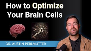 How to Optimize Your Brain Cells