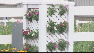 Belmont Correctional Institution Garden Tended by Inmates