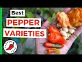 Best Peppers of 2020 - Our Favorite Varieties - Pepper Geek