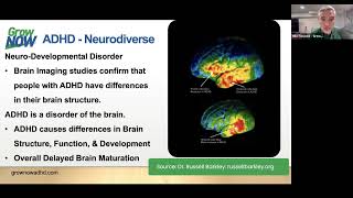 Executive Function Series - #1 Executive Functioning at Home