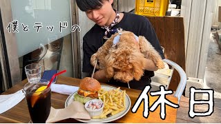 【子犬と2人暮らし】休日にドックカフェに行ってきた