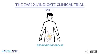 EA8191/INDICATE Research Study for Patients with Prostate Cancer (Part 3/3)