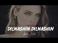 dilnashin dilnashin slowed and reverb aashiq banaya aapne k.k himesh emraan h tanushree sonu s