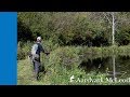 Chalkstream Fly Fishing at Leckford on the River Test