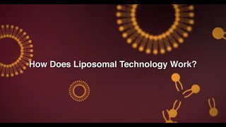 Dr. Mercola: How Does Liposomal Technology Work?