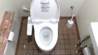 ローソン 弘前富田二丁目店　男性トイレ（青森県・弘前市）　WC Japanese Toilet