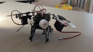 [NZCILAB] Bug robot