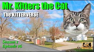 Mr. Kitters presents The Kitterverse! Season 1 Episode 15 📣🐈 Roof Inspectors 🏡🐈