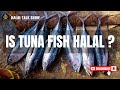 Is Tuna Fish Halal? | Halal Status of Tuna & Seafood Explained