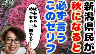 【新潟×あるある】新潟県民が秋になると必ずしちゃう⁉️会話🍁6選🌰