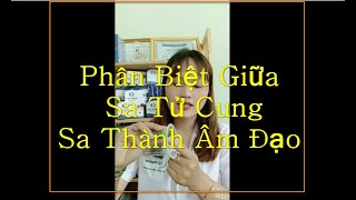 Phân Biệt Sa dạ con (Sa tử cung) \u0026 Sa Thành Âm Đạo | TV Miễn Phí 0977.730.321