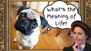 What is the meaning of life? The Ways Humans Find Purpose & Answers