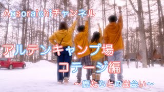 Aosoraichiチャンネル苫小牧アルテンキャンプ場コテージ編〜鹿たちとの出会い〜