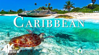 Caribbean 4K - Güzel doğa ları ile birlikte rahatlatıcı müzik - 4K  Ultra HD