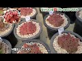 호산나다육 금황성대품특가 3 1 국민다육3~5천 작게다진 삼색염좌 착한다육득템succulents plant 多肉植物