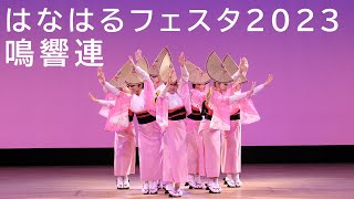 阿波踊り 鳴響連 はなはるフェスタ2023 ！！ AwaOdori is a traditional Japanese performing art.