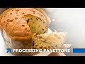 Panettone