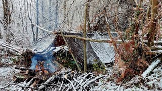 SOLO WINTER CAMPING IN THE FOREST WITH MY DOG, NATURE DOCUMENTARY, COOKING ASMR