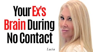 How No Contact Affects Your Ex’s Brain