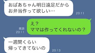 ある晩、孫から「遠足のお弁当を作って」と連絡があり、何事かと尋ねると、息子の嫁がずっと帰っていないと告げられた。