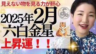 【占い】2025年2月六白金星さん「上昇運に乗る！温かい陽だまりのような優しさが肝心な1ヶ月☀️」全体・前半・中盤・後半・3つの開運アクション