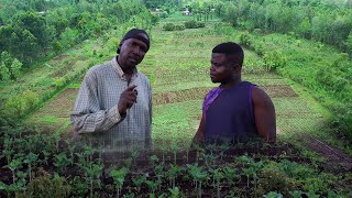 I Left America To Kenya & Now Own 20 Acres Organic Farm!