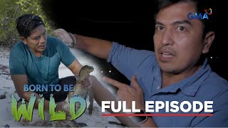 Part 1 - The Wild Wars  (Full Episode) | Born to be Wild