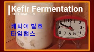 Milk Kefir Fermentation Time Lapse. 케피어 우유 (티벳 버섯) 발효 과정 타임랩스