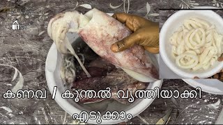 കൂന്തൽ / കണവ എങ്ങനെ വൃത്തിയാക്കി എടുക്കാം #squid cleaning #housewifeblog #seafood