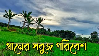 গ্রাম বাংলার রূপ ও প্রাকৃতিক সৌন্দর্য |Beautiful village scenery | গ্রামের দৃশ্য