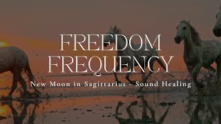 FREEDOM FREQUENCY | New Moon In Sagittarius | Sound Healing | 528hz