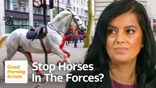 Is It Time to Stop Using Horses in the Forces?