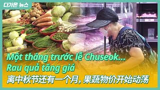 [다가온 News] 추석 한 달 앞..과일·채소 물가 들썩 | 中文字幕新闻 | Tin tức phụ đề tiếng việt 230903