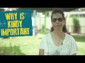 Why is Kindy Important? - Deadly Kindies