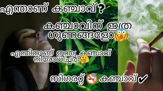 MARIJUANA |MALAYALAM|BASED ON SCIENCE |കഞ്ചാവ് |മലയാളം|MOHD NASEE |INDIA|MARIJUANA BAN