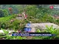 Pohon Beringin 20 Meter Tumbang dan Timpa Rumah, 1 Orang Alami Luka-luka - iNews Malam 16/01