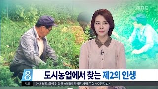 [대전MBC뉴스]인생2막-도시농업에서 찾는 열매