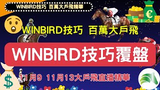 🈯️🈯️🈯️【賽馬指南針】【winbird技巧覆盤】🐴😱🕵  丨直播報百萬飛精華丨 #賽馬指南針 #賽馬貼士 #睡眠 #失眠必聽💰💰💰