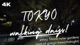 【4K】Tokyo walk midnight - Meiji Shrine outer gardens(rows of ginkgo trees)  (真夜中の神宮外苑のいちょう並木)