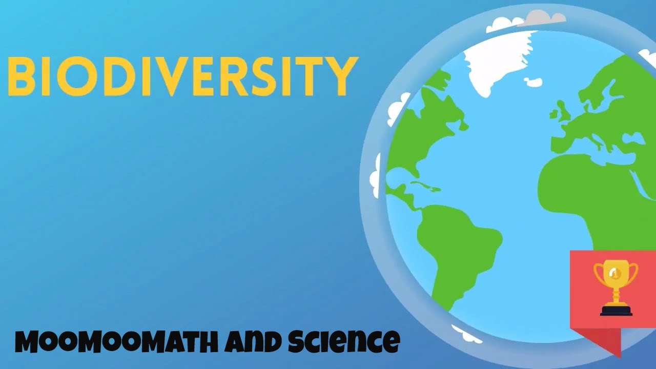 Types Of Biodiversity - YouTube