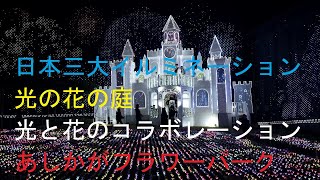 日本三大イルミネーションあしかがフラワーパーク（2024年11月）