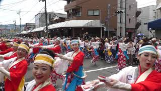 ほにや　高知よさこい２０１７　11日　升形　４ｋ