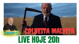 COLHEITA MALDITA