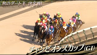 秋のダート王決定戦！ チャンピオンズカップ（GI）史上2頭目の連覇へ！ラストランへ臨むスターホースに注目！！