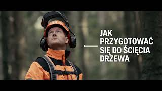 Jak ścinać drzewa bezpiecznie i skutecznie - Chainsaw Academy