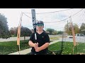 demarini cf glitch baseball bat