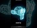 Glowing Wireframe in blender using Geometry Nodes #blendertutorial #tutorial #blender3d #blender